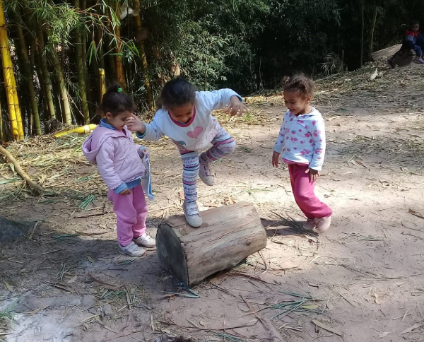 Praticas pedagógicas