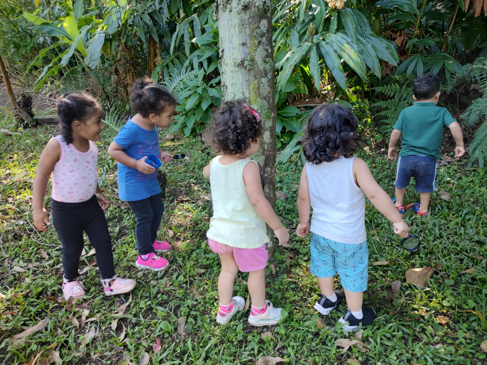 Crianças andando na natureza