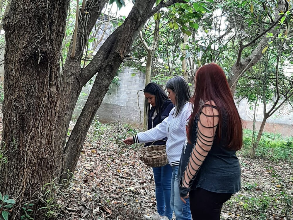 Mulheres explorando a natureza