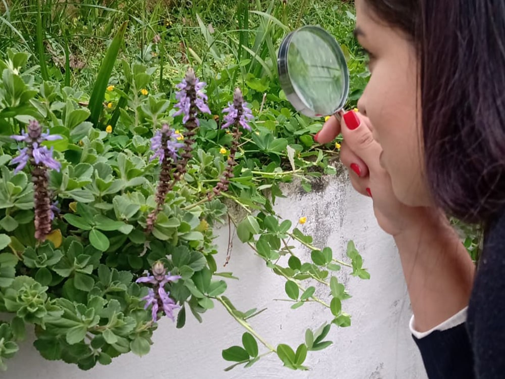 Mulher usando lupa para observar plantas