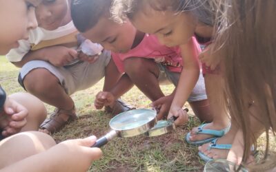 90 anos da Educação Infantil Paulistana