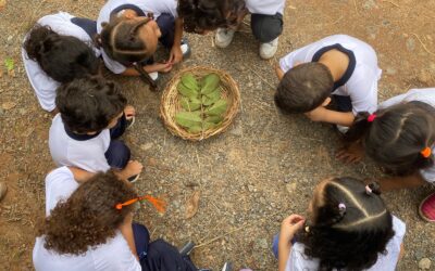 Ampliação do atendimento para crianças de 4 a 5 anos reforça o compromisso com a primeira infância